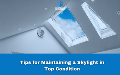 Tips for Maintaining a Skylight in Top Condition