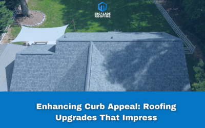 Enhancing Curb Appeal: Roofing Upgrades That Impress