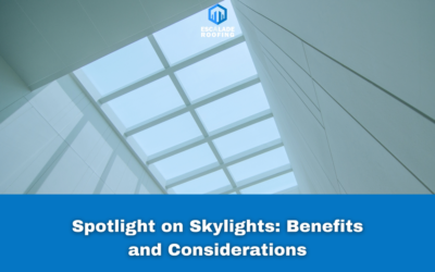 Spotlight on Skylights: Benefits and Considerations