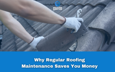 Why Regular Roofing Maintenance Saves You Money