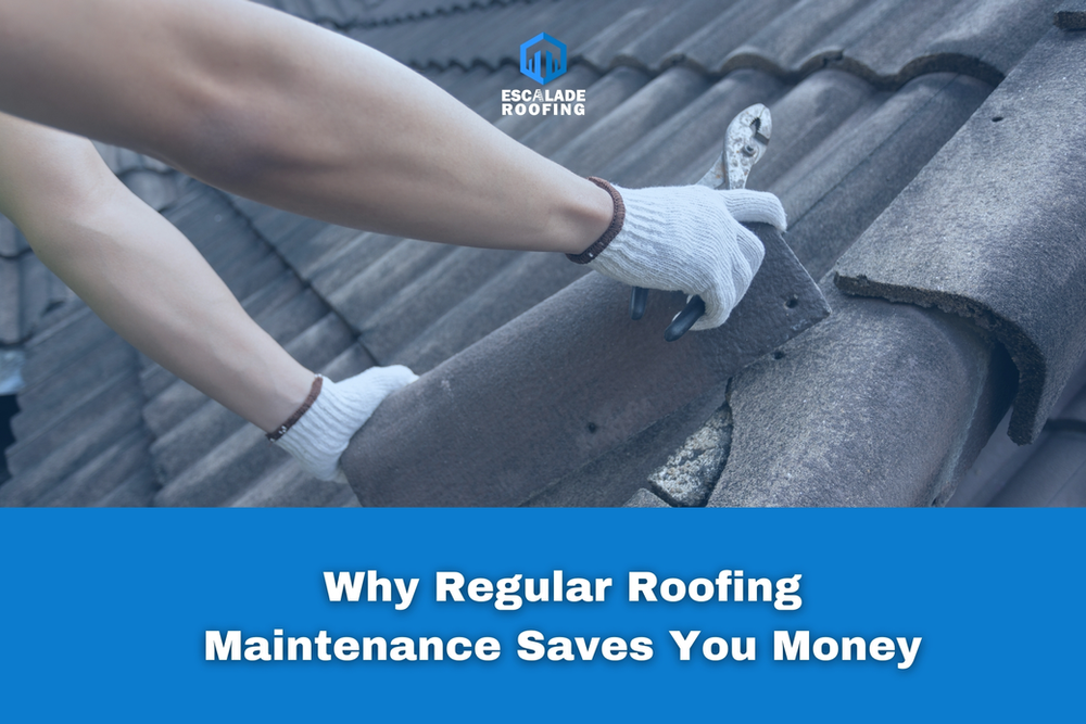 Why Regular Roofing Maintenance Saves You Money - Escalade Roofing